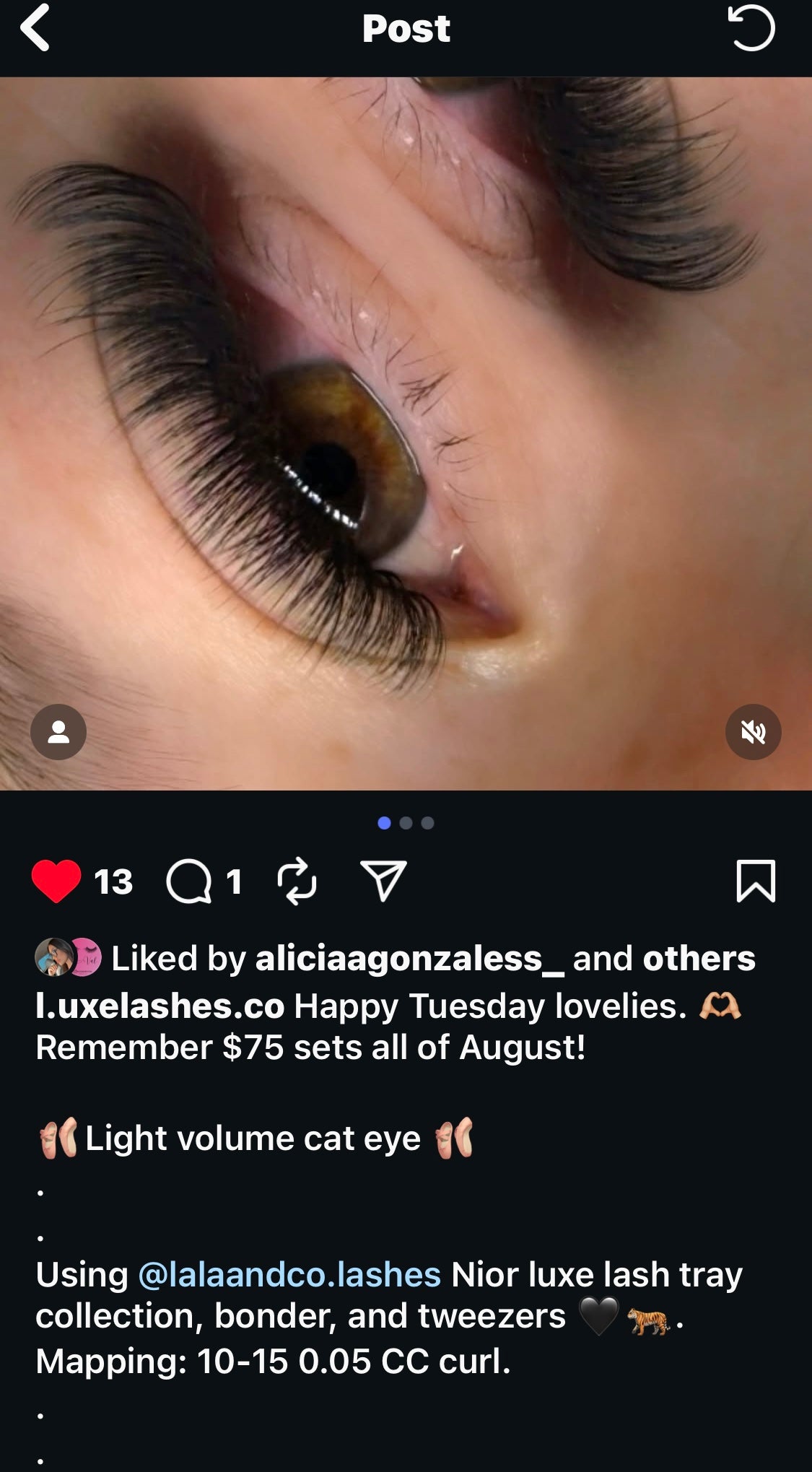 "Noir Luxe" Lash Collection - 0.03 Diameter