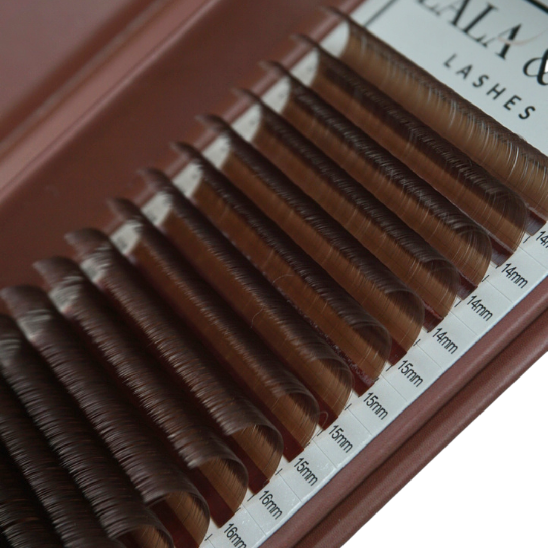 Mocha - Matte Medium Brown Lash Trays