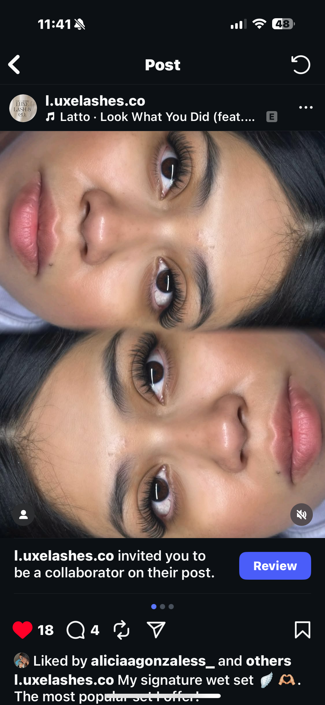 "Noir Luxe" Lash Collection - 0.03 Diameter