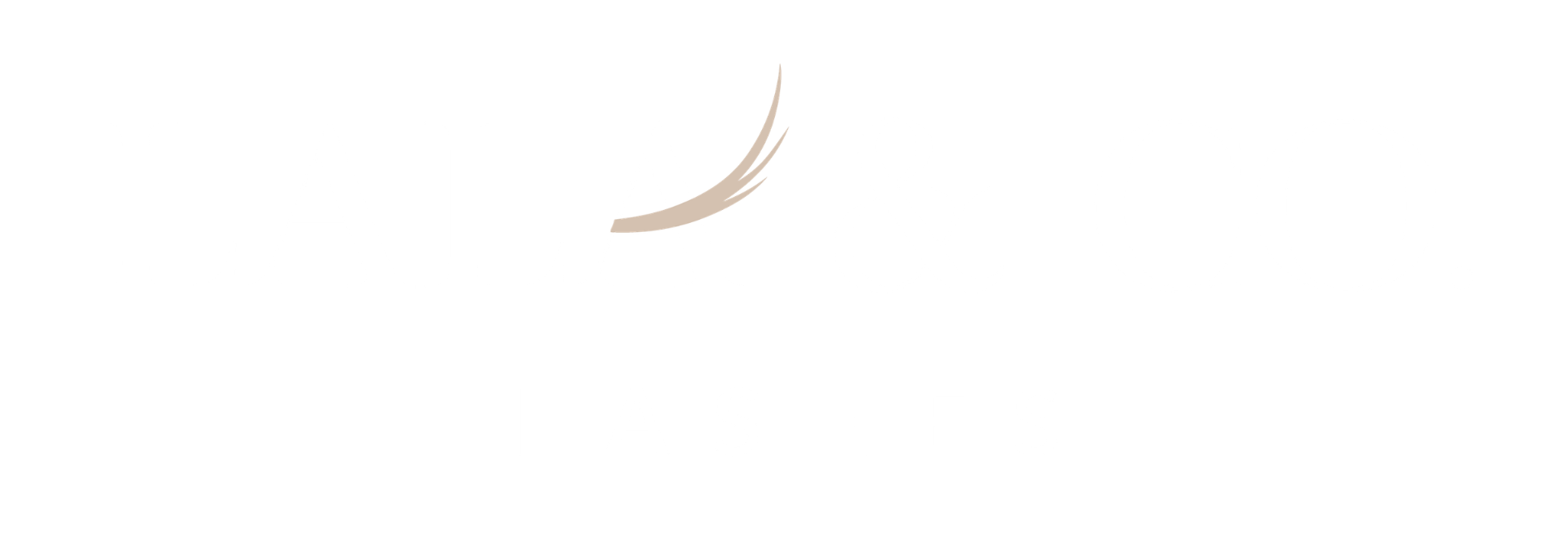 LaLa & Co. Lashes 